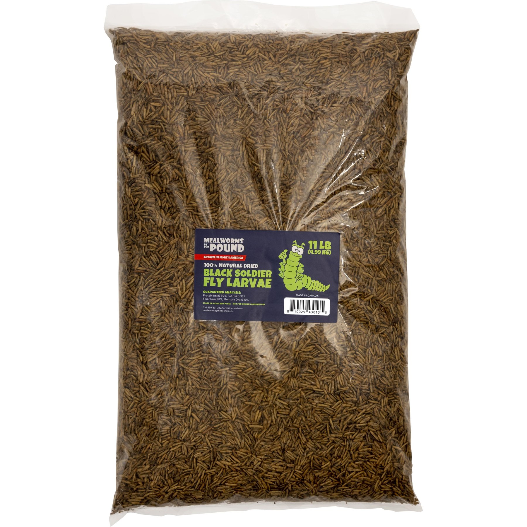 Mealworms By The Pound Black Soldier Fly Larvae Treat, 11-lb bag