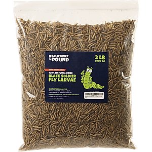 Mealworms By The Pound Black Soldier Fly Larvae Treat, 2-lb bag