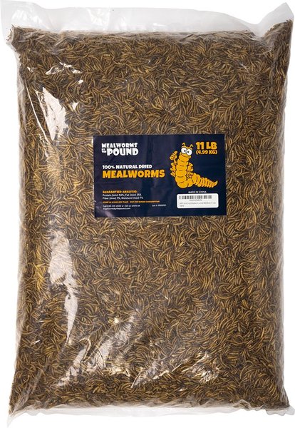 Mealworms By The Pound Mealworms Treat, 11-lb bag