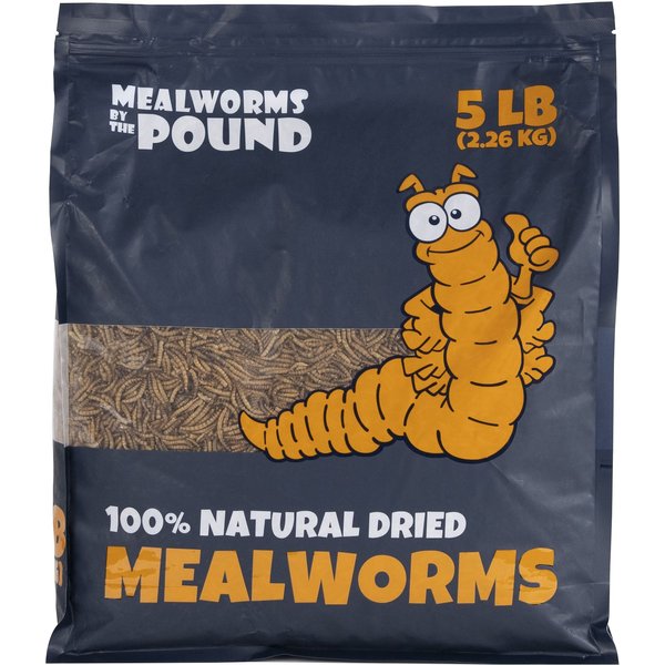 Mealworms By The Pound Mealworms Treat, 5-lb bag