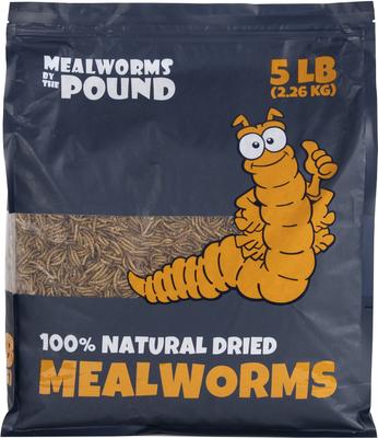 Show full view: Mealworms By The Pound Mealworms Treat, 5-lb bag slide 1 of 2