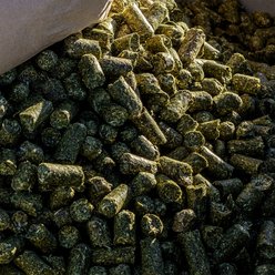 Medalist Alfalfa Pellets Complete Horse Feed, 50-lb bag slide 2 of 7