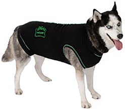 Medipaw Recovery Protective Dog Suit, Large