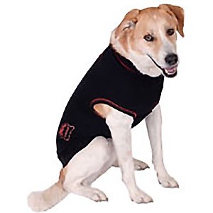 CP Basics Inflatable Dog Collar