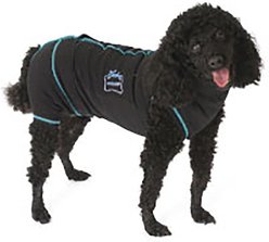Medipaw Recovery Protective Dog Suit, Small