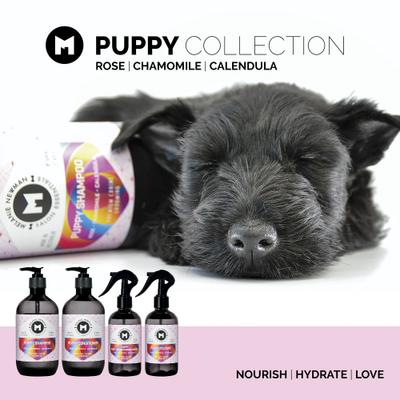 Show full view: Melanie Newman Puppy Dog Shampoo, 500-ml bottle slide 3 of 9