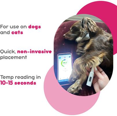 Show full view: Mella Pet Care Home Non-Invasive Underarm Pet Thermometer slide 5 of 11