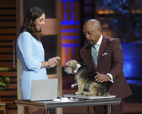 Show full view: Mella Pet Care Home Non-Invasive Underarm Pet Thermometer slide 8 of 11