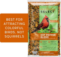 Melody Select Hot Pepper Blend Bird Food, 4.5-lb bag