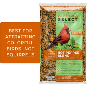 Melody Select Hot Pepper Blend Bird Food, 4.5-lb bag