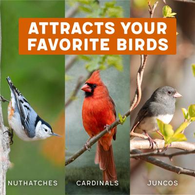 Show full view: Melody Select Hot Pepper Blend Bird Food, 4.5-lb bag slide 5 of 10