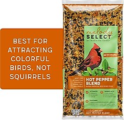 Melody Select Hot Pepper Blend Bird Food, 9-lb bag
