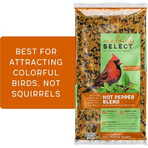 Melody Select Hot Pepper Blend Bird Food, 9-lb bag