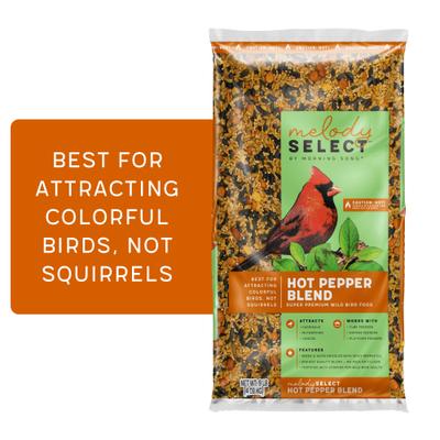 Show full view: Melody Select Hot Pepper Blend Bird Food, 9-lb bag slide 1 of 10