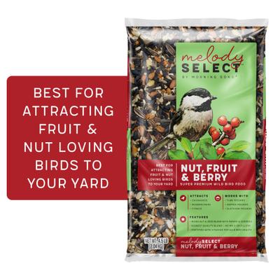 Show full view: Melody Select Nut Fruit & Berry Bird Food, 4.5-lb bag slide 1 of 10