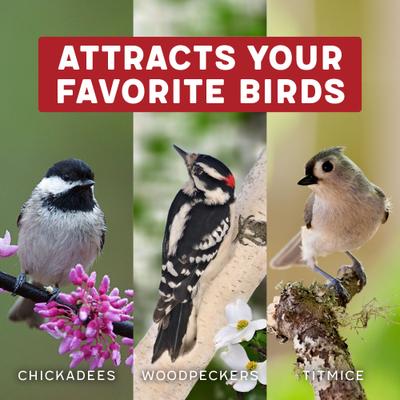 Show full view: Melody Select Nut Fruit & Berry Bird Food, 9-lb bag slide 5 of 10