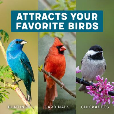 Show full view: Melody Select Songbird Supreme Bird Food, 4-lb bag slide 5 of 10