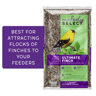 Show full view: Melody Select Ultimate Finch Bird Food, 5-lb bag slide 1 of 10