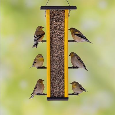 Show full view: Melody Select Ultimate Finch Bird Food, 5-lb bag slide 6 of 10