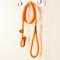 Show in main carousel: Mendota Products Large Slip Solid Rope Dog Leash, Orange, 6-ft long, 1/2-in wide slide 6 of 9
