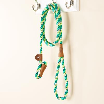 Show full view: Mendota Products Large Slip Striped Rope Dog Leash, Ivy, 6-ft long, 1/2-in wide slide 5 of 8