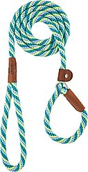 Mendota Products Large Slip Striped Rope Dog Leash, Seafoam, 6-ft long, 1/2-in wide slide 2 of 4