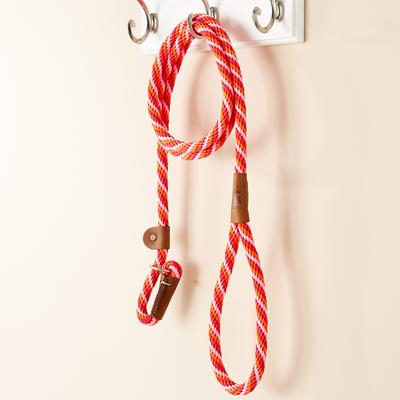 Show full view: Mendota Products Large Slip Striped Rope Dog Leash, Taffy, 6-ft long, 1/2-in wide slide 5 of 8