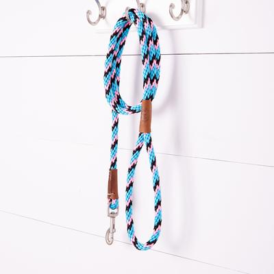 Show full view: Mendota Products Large Snap Striped Rope Dog Leash, Starbright, 6-ft long, 1/2-in wide slide 3 of 4