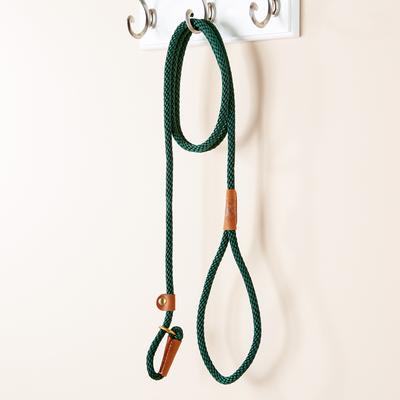 Show full view: Mendota Products Small Slip Solid Rope Dog Leash, Hunter Green, 6-ft long, 3/8-in wide slide 5 of 8