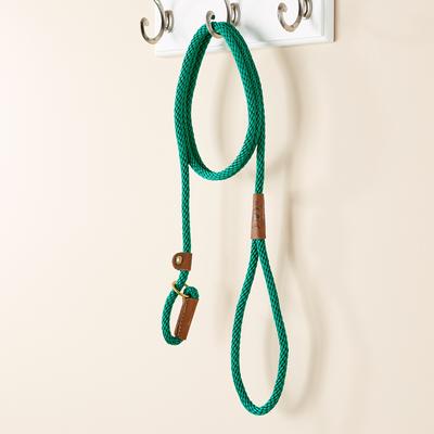 Show full view: Mendota Products Small Slip Solid Rope Dog Leash, Kelly Green, 6-ft long, 3/8-in wide slide 5 of 8