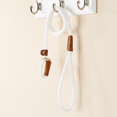 Show full view: Mendota Products Small Slip Solid Rope Dog Leash, White, 4-ft long, 3/8-in wide slide 5 of 8