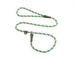 Mendota Products Small Slip Striped Rope Dog Leash, Ivy, 6-ft long, 3/8-in wide