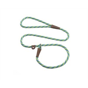 Mendota Products Small Slip Striped Rope Dog Leash, Seafoam, 6-ft long, 3/8-in wide