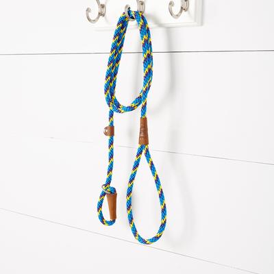 Show full view: Mendota Products Small Slip Striped Rope Dog Leash, Sunset, 6-ft long, 3/8-in wide slide 4 of 6