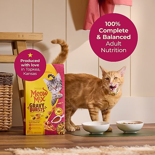Meow Mix Gravy Bursts Savory Chicken Flavor Mix with Gravy Filled Pieces Dry Cat Food