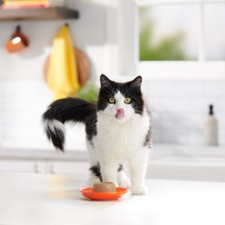 Meow Mix Pate in Gravy with Real Chicken & Beef Wet Cat Food, 2.75-oz cup, case of 12 slide 2 of 7