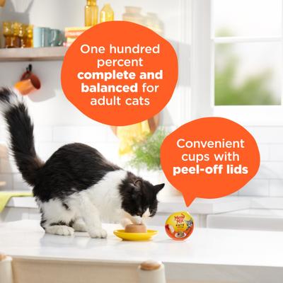 Show full view: Meow Mix Pate in Gravy with Real Chicken & Tuna Pate Wet Cat Food, 2.75-oz cup, case of 12 slide 6 of 10