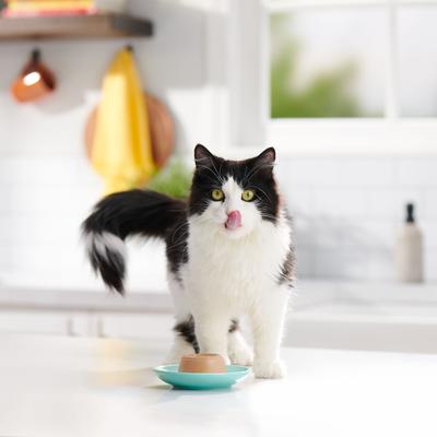 Show full view: Meow Mix Pate in Gravy with Real Tuna & Salmon Wet Cat Food, 2.75-oz cup, case of 12 slide 7 of 10