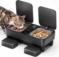 Meowant Active Cooling & Heating Smart Wet Food Dog & Cat Feeder, Black, Medium: 750-mL