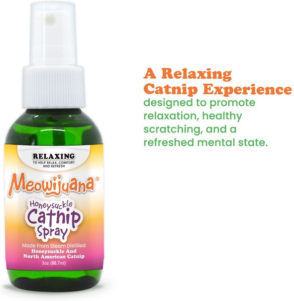 Four Paws Super Catnip Honeysuckle Mist