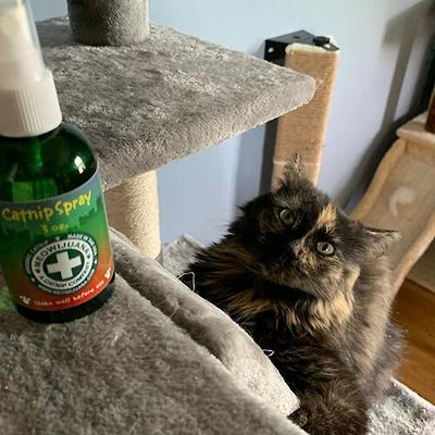Show full view: Meowijuana Catnip Spray, 3-oz bottle slide 7 of 10