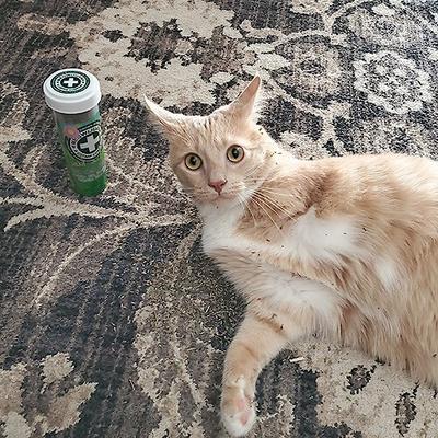 Show full view: Meowijuana Garden Pawty Dill, Parsley & Valerian Root Blend Catnip, 0.92-oz bottle slide 6 of 7