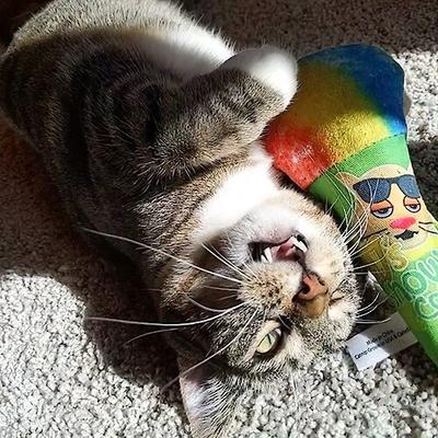 Show full view: Meowijuana Get Chilled Snowcone Refillable Plush Cat Toy with Catnip slide 3 of 6