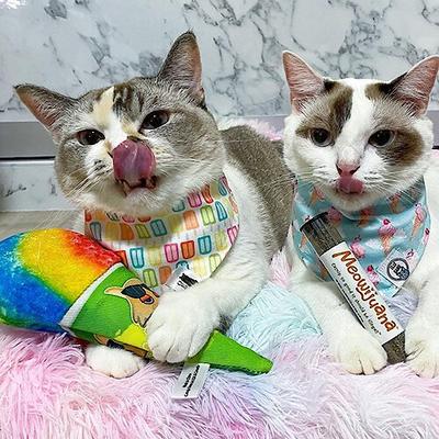 Show full view: Meowijuana Get Chilled Snowcone Refillable Plush Cat Toy with Catnip slide 5 of 6