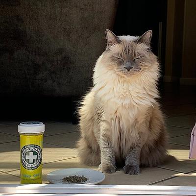 Show full view: Meowijuana Happy Grass Lemongrass Blend Catnip, 0.92-oz bottle slide 7 of 7