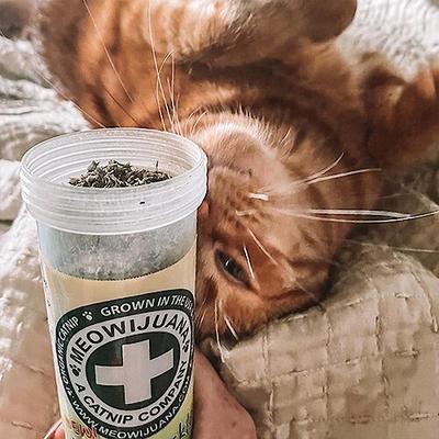 Show full view: Meowijuana Honeysuckle Haze Blend Catnip, 0.92-oz bottle slide 6 of 7