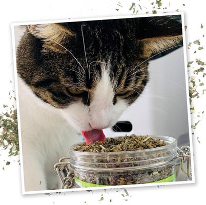 Show full view: Meowijuana Jar of Catnibas Catnip Pawty Mix, 60-g jar slide 4 of 7