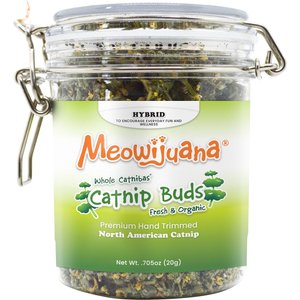 Meowijuana Jar of Organic Catnibas Catnip Buds, 20-g jar