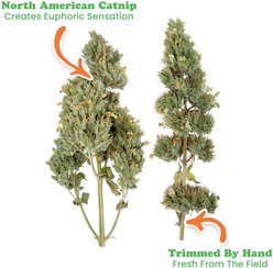 Meowijuana Jar of Organic Catnibas Catnip Buds, 20-g jar slide 2 of 7