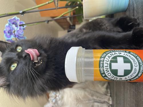 Show full view: Meowijuana Kalico Kush Catnip & Valerian Root Blend Catnip, 0.917-oz bottle slide 8 of 10